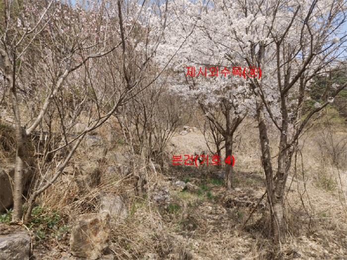 물건 사진 86
