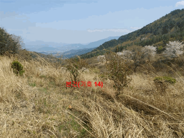 물건 사진 90