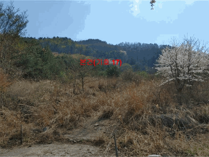 물건 사진 91