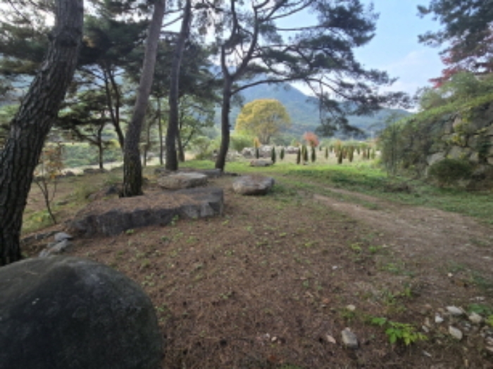 물건 사진 12
