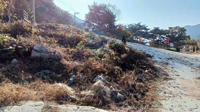 물건 사진 16