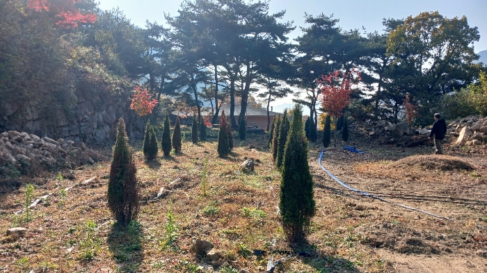 물건 사진 21
