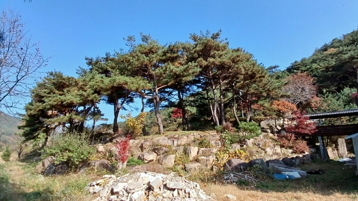 물건 사진 40