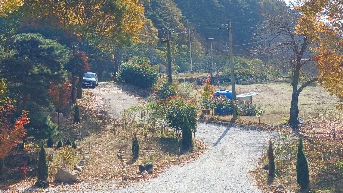 물건 사진 46