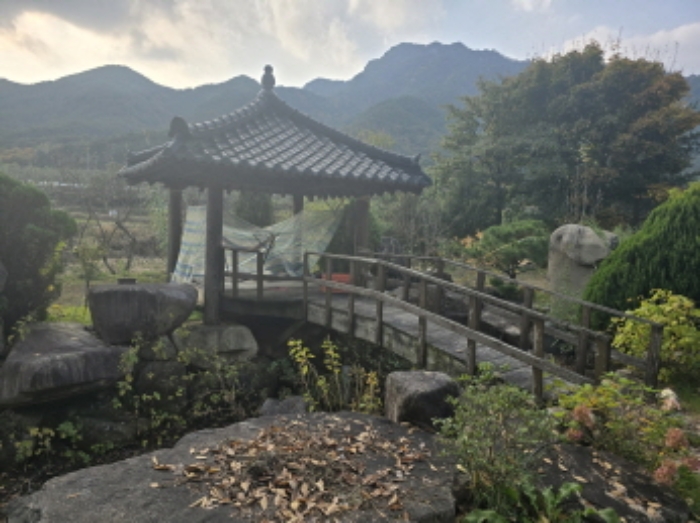 물건 사진 9