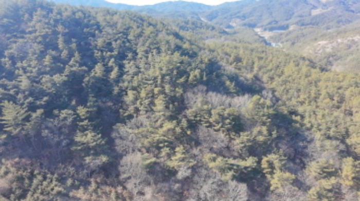 물건 사진 2