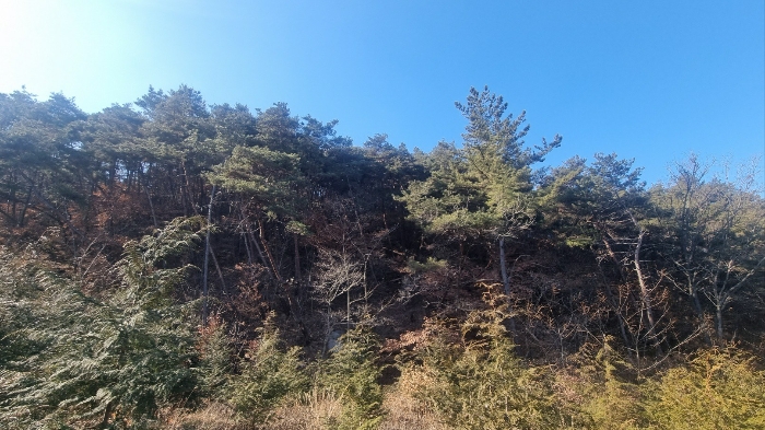 물건 사진 12