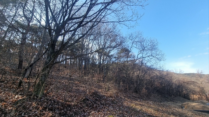 물건 사진 6