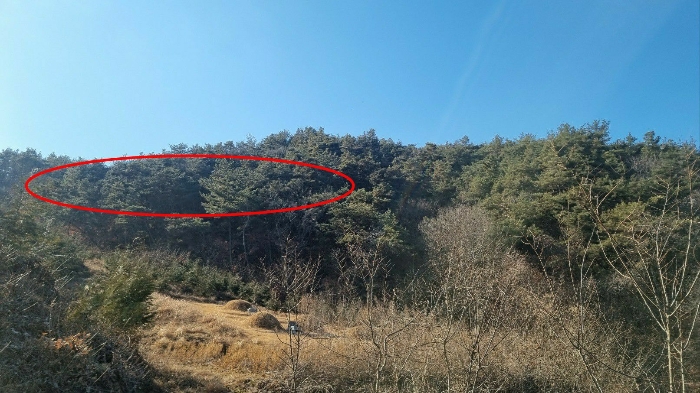 물건 사진 7
