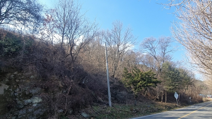 물건 사진 10