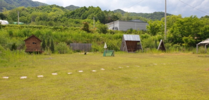 물건 사진 11