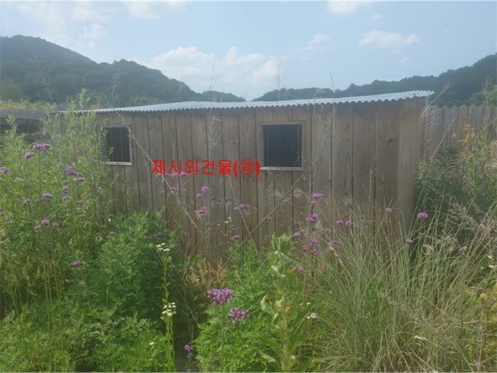 물건 사진 24