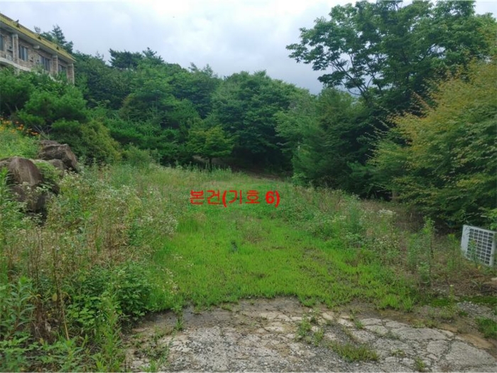 물건 사진 28