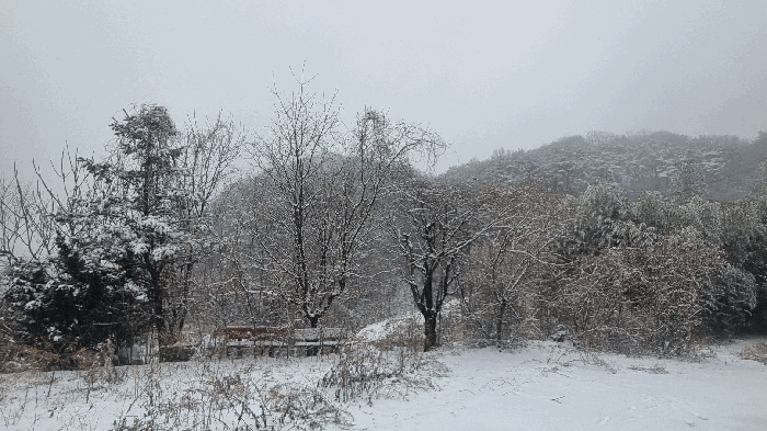 물건 사진 19