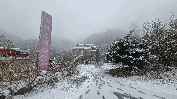물건 사진 21
