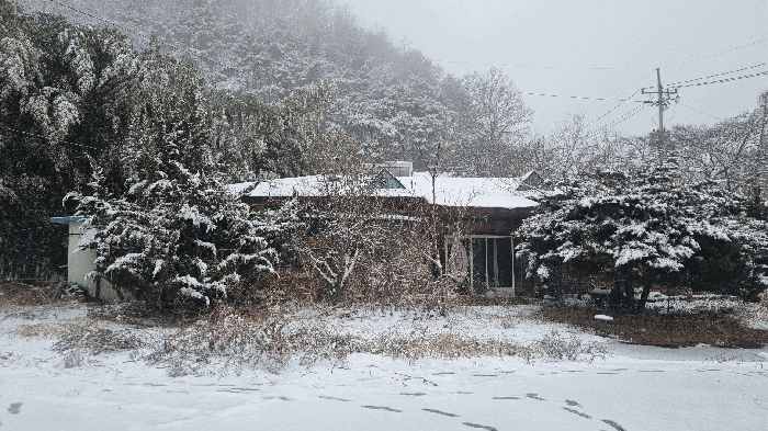 물건 사진 27