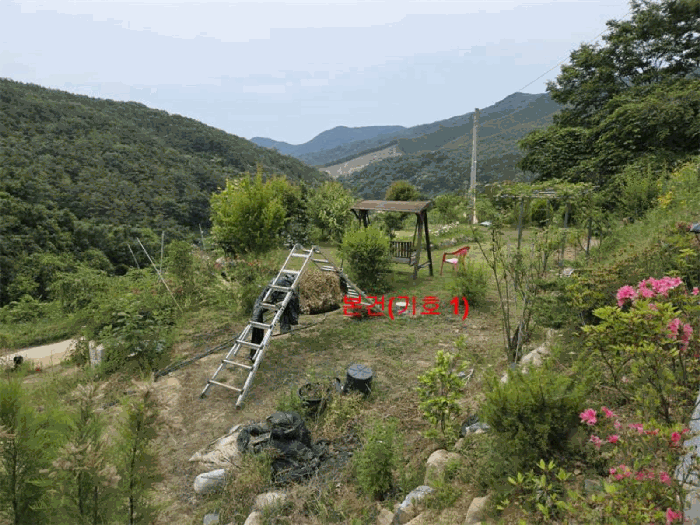 물건 사진 12
