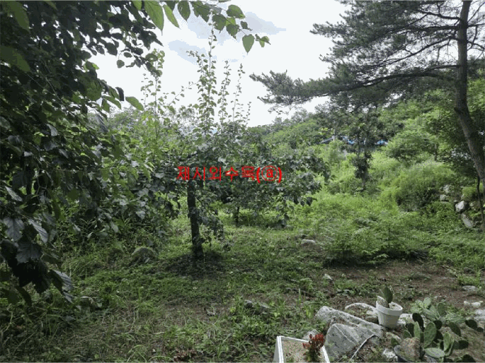 물건 사진 11