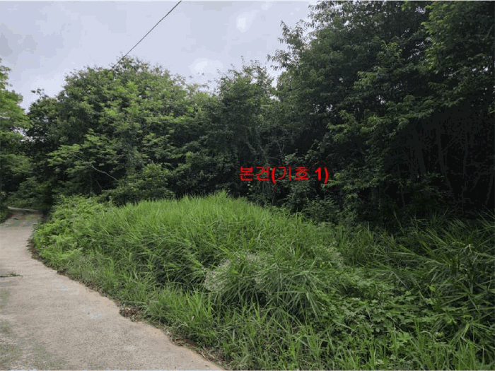물건 사진 15
