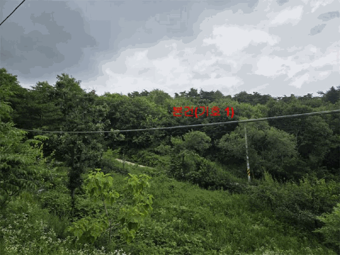 물건 사진 17
