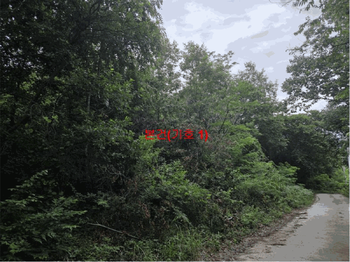 물건 사진 18
