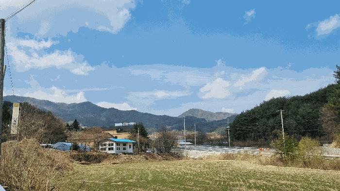 물건 사진 16