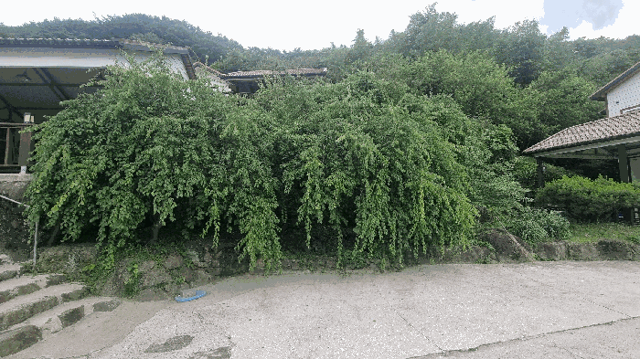 물건 사진 38