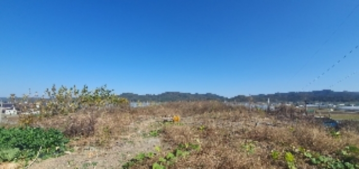 물건 사진 4