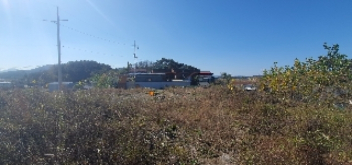 물건 사진 5