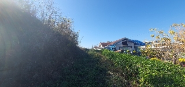 물건 사진 9
