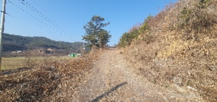 물건 사진 2