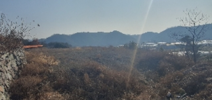 물건 사진 3