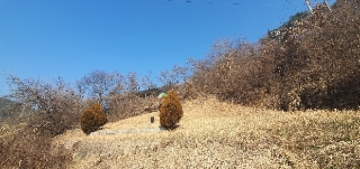 물건 사진 24