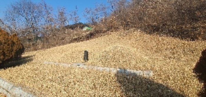 물건 사진 25