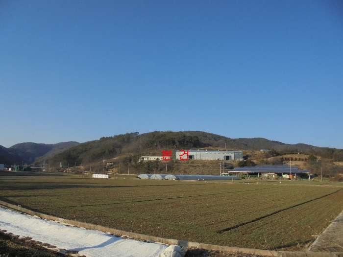 물건 사진 31