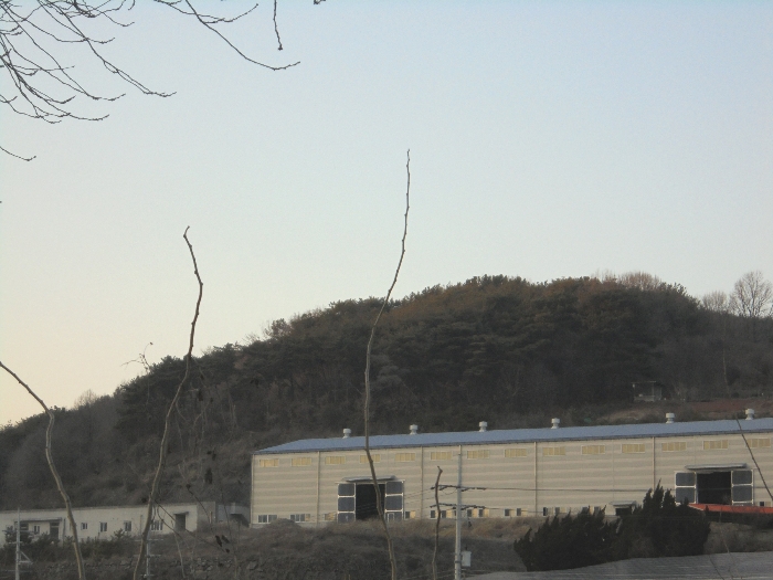물건 사진 43