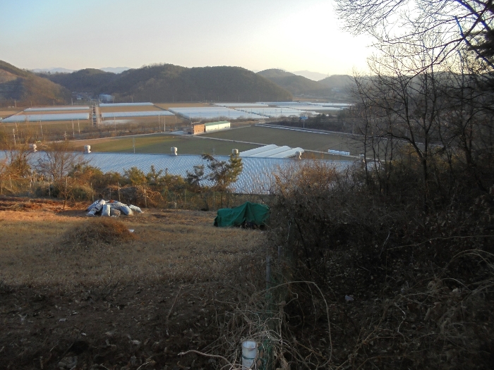 물건 사진 45