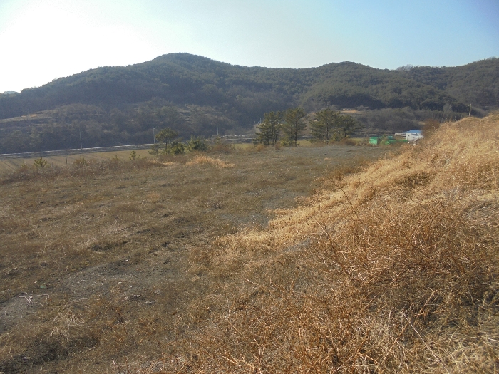물건 사진 46