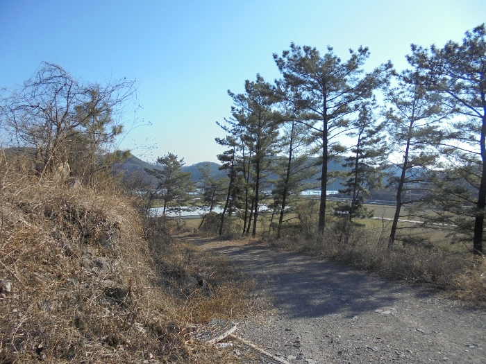 물건 사진 48