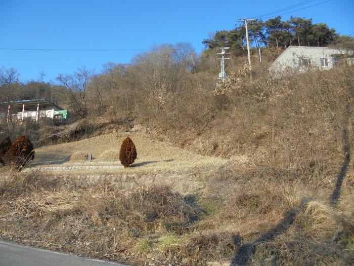 물건 사진 53