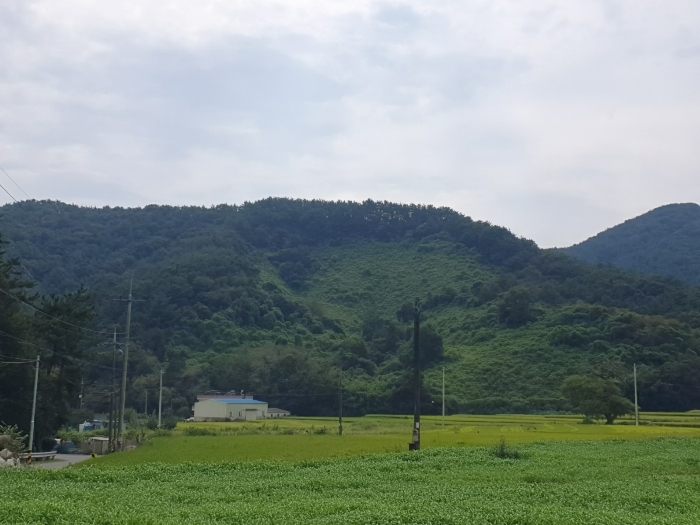 물건 사진 7