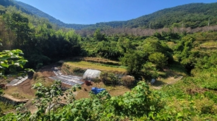 물건 사진 13