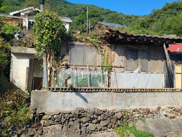 물건 사진 19