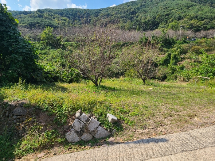물건 사진 23