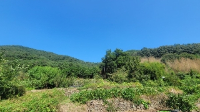 물건 사진 8
