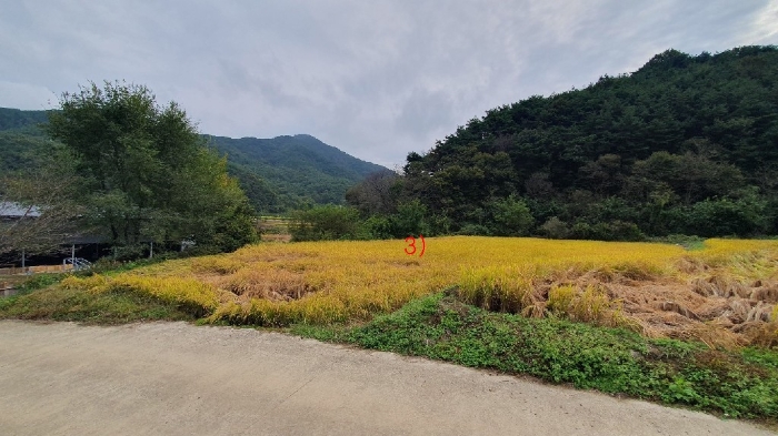 물건 사진 12