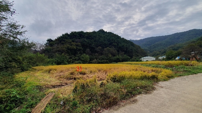물건 사진 13