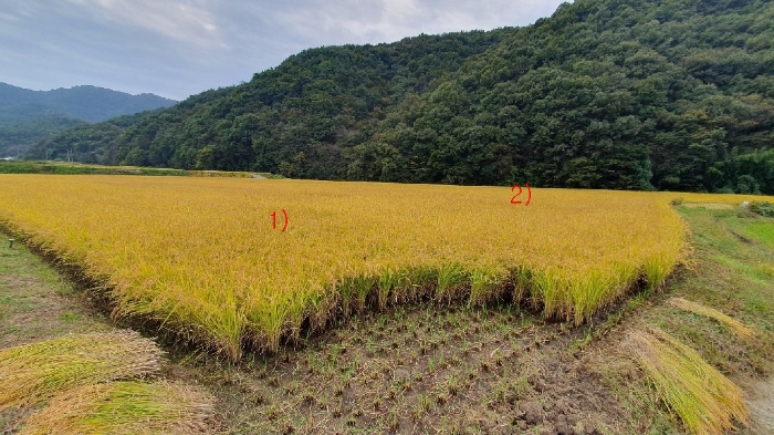 물건 사진 10