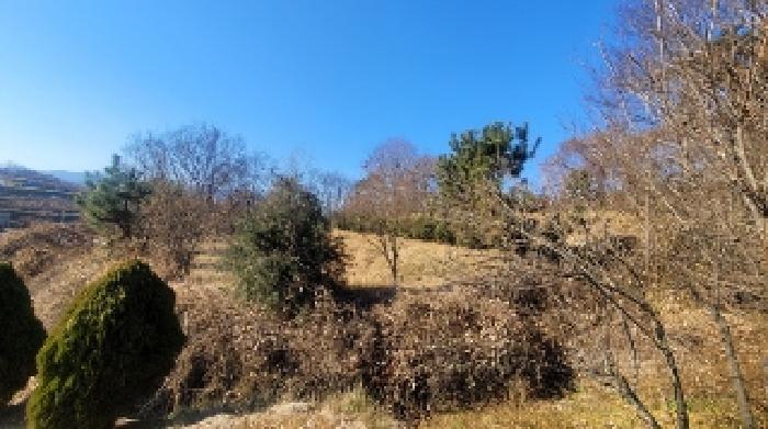 물건 사진 6