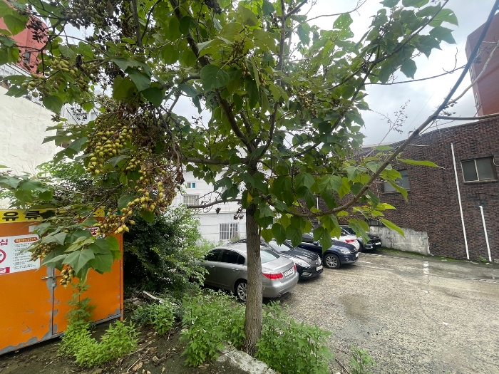 물건 사진 12